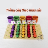Đồ chơi nông trại trồng cây học đếm và màu sắc cho bé từ 2 tuổi