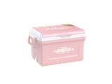 Thùng Đá ICY 35L DUY TÂN