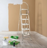 Thang inox DELI 9 bậc