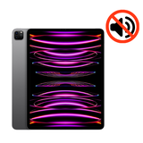 Sửa lỗi âm thanh iPad Pro M2 12.9 2022