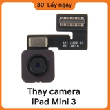Thay Camera sau iPad Mini 3