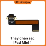 Thay Chân Sạc iPad Mini 1