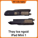 Thay Loa iPad Mini 1