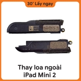 Thay Loa Ngoài iPad Mini 2