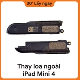 Thay Loa Ngoài iPad Mini 4