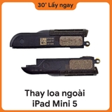 Thay Loa Ngoài iPad Mini 5