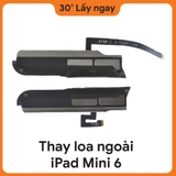 Thay Loa Ngoài iPad Mini 6