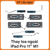 Thay Loa Ngoài iPad Pro M1 11 2021