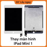 Thay màn hình iPad Mini 1