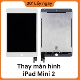 Thay màn hình iPad Mini 2