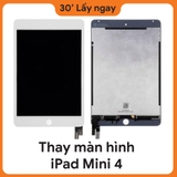 Thay màn hình iPad Mini 4