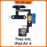 Thay Mic iPad Air 4