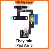 Thay Mic iPad Air 5