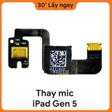 Thay Mic iPad Gen 5