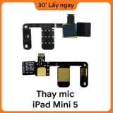 Thay Mic iPad Mini 5