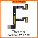 Thay Mic iPad Pro M2 11 2022