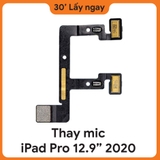 Thay Mic iPad Pro 12.9 2020