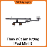 Thay Dây Âm Lượng iPad Mini 5