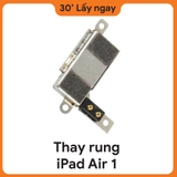 Thay Rung iPad Air 1