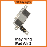 Thay Rung iPad Air 3