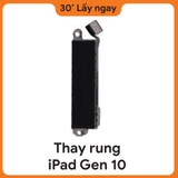 Thay Rung iPad Gen 10