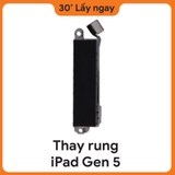 Thay Rung iPad Gen 5