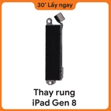 Thay Rung iPad Gen 8