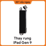 Thay Rung iPad Gen 9