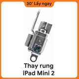 Thay Rung iPad Mini 2