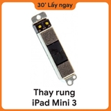 Thay Rung iPad Mini 3