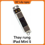Thay Rung iPad Mini 5