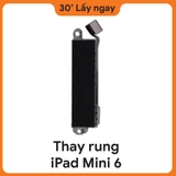 Thay Rung iPad Mini 6