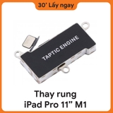 Thay Rung iPad Pro M1 11 2021