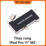 Thay Rung iPad Pro M2 11 2022