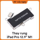 Thay Rung iPad Pro M1 12.9 2021