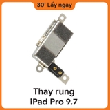 Thay Rung iPad Pro 9.7