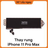 Thay rung iPhone 11 Pro Max