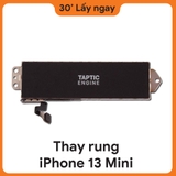 Thay rung iPhone 13 mini