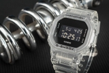 DW-5600SKE-7