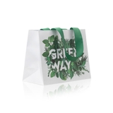 Túi đựng quà size nhỏ phụ kiện “Greenway”, 22 х 17 х 10 cm