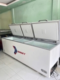 Tủ đông Sanaky VH-1199HY ( 900 lít)