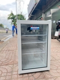 Tủ mát mini 70 lít Alaska LC-70 ( màu trắng)