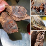 Viên Uống Thông Đỏ Đông Trùng Sâm Nhung Trầm Hương Hoàng Gia KGA