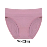 Warner (1)