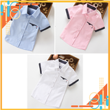 Áo sơ mi ngắn tay xanh hồng trắng ASMBT043