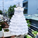 Đầm công chúa bé gái mã DBG142