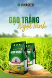 Gạo ST25 - Vinaseed (túi 5kg) gạo chuẩn từ giống