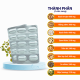 Tràng Linh Đơn Hoa Việt, khó tiêu, ợ hơi, chán ăn, mệt mỏi, đầy bụng