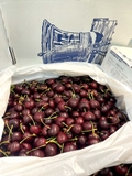 CHERRY CHUÔNG Mỹ S8.5
