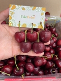 Cherry Chile Qilin – Con Lân 2JD | Xách 2.5kg – Size khủng, giòn ngọt đậm vị